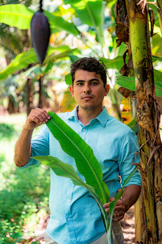 Artist Spotlight: Josué de Castro