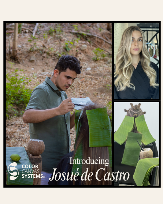 Artist Spotlight: Josué de Castro