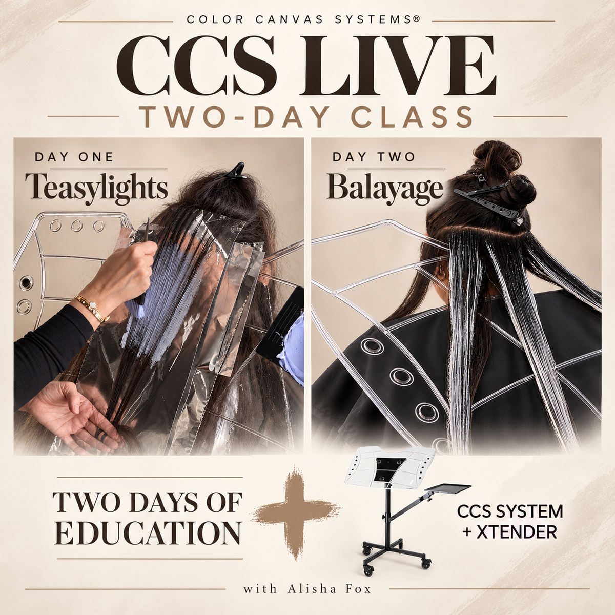 CCS LIVE EDUCATION-Teasylights & Balayage SYSTEM INCLUDED